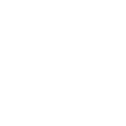 <h3>BOOST BRAIN FUNCTION</h3>